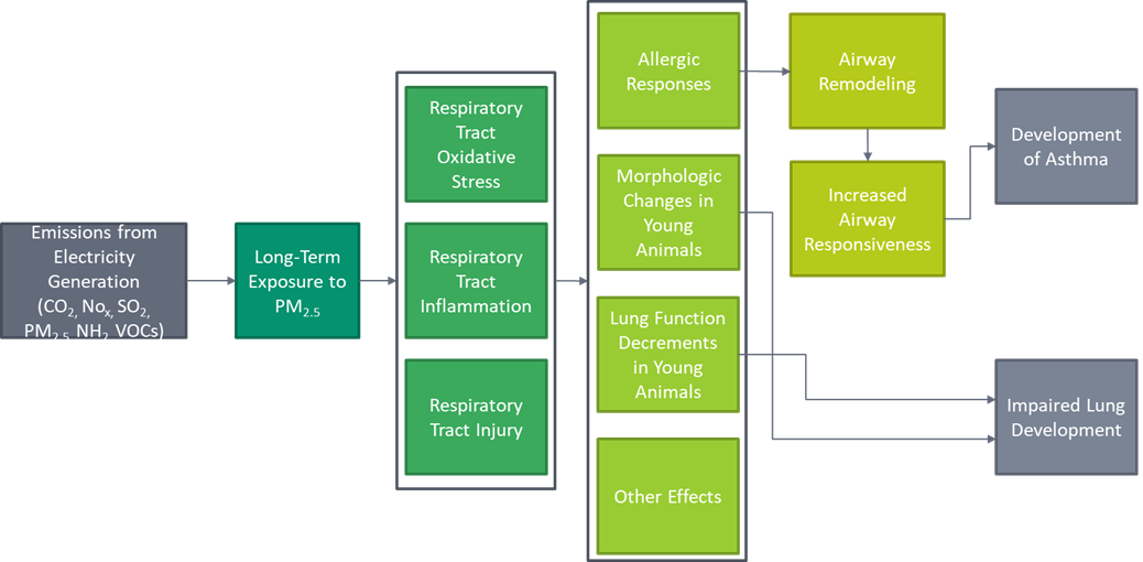 Respiratory effects chart